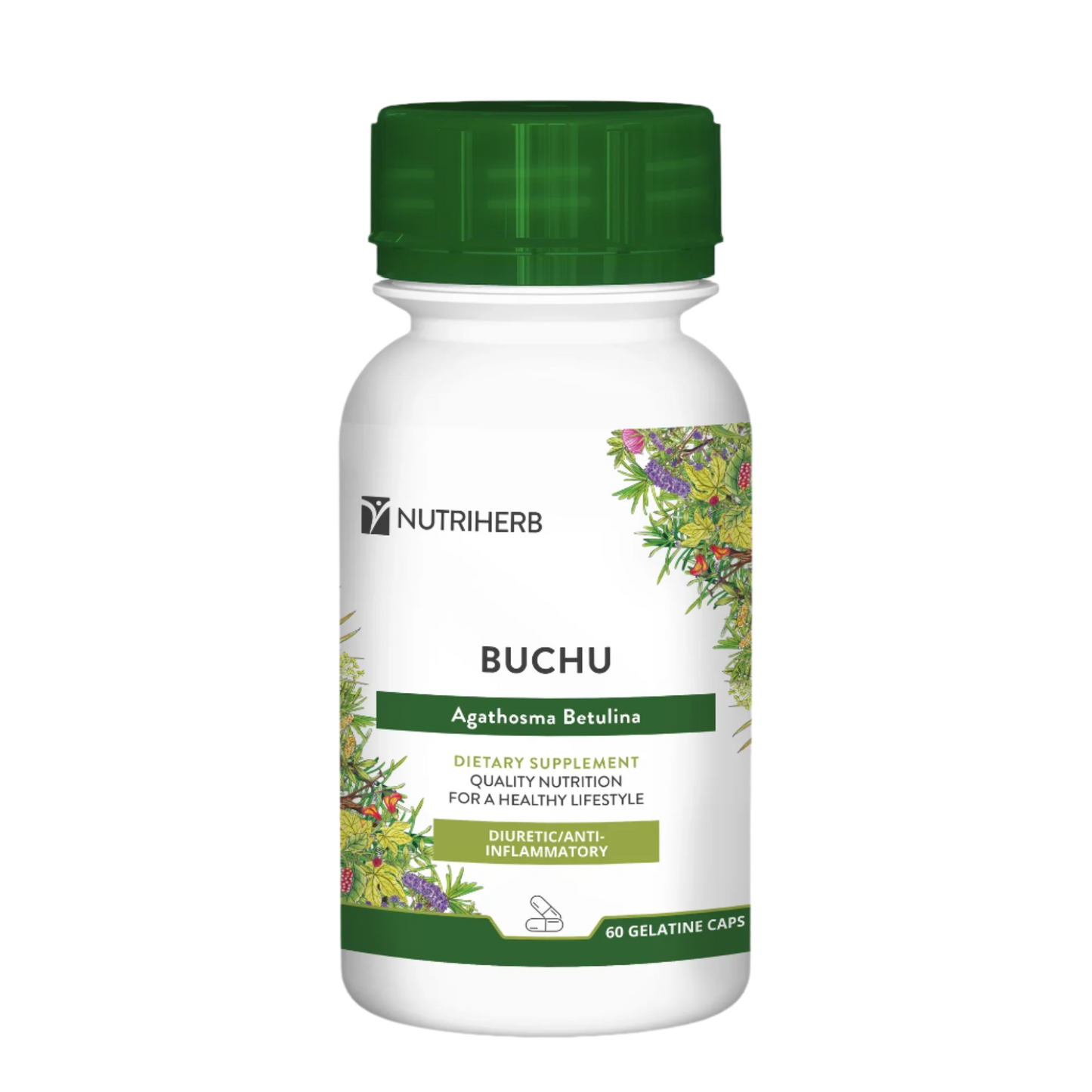 Buchu