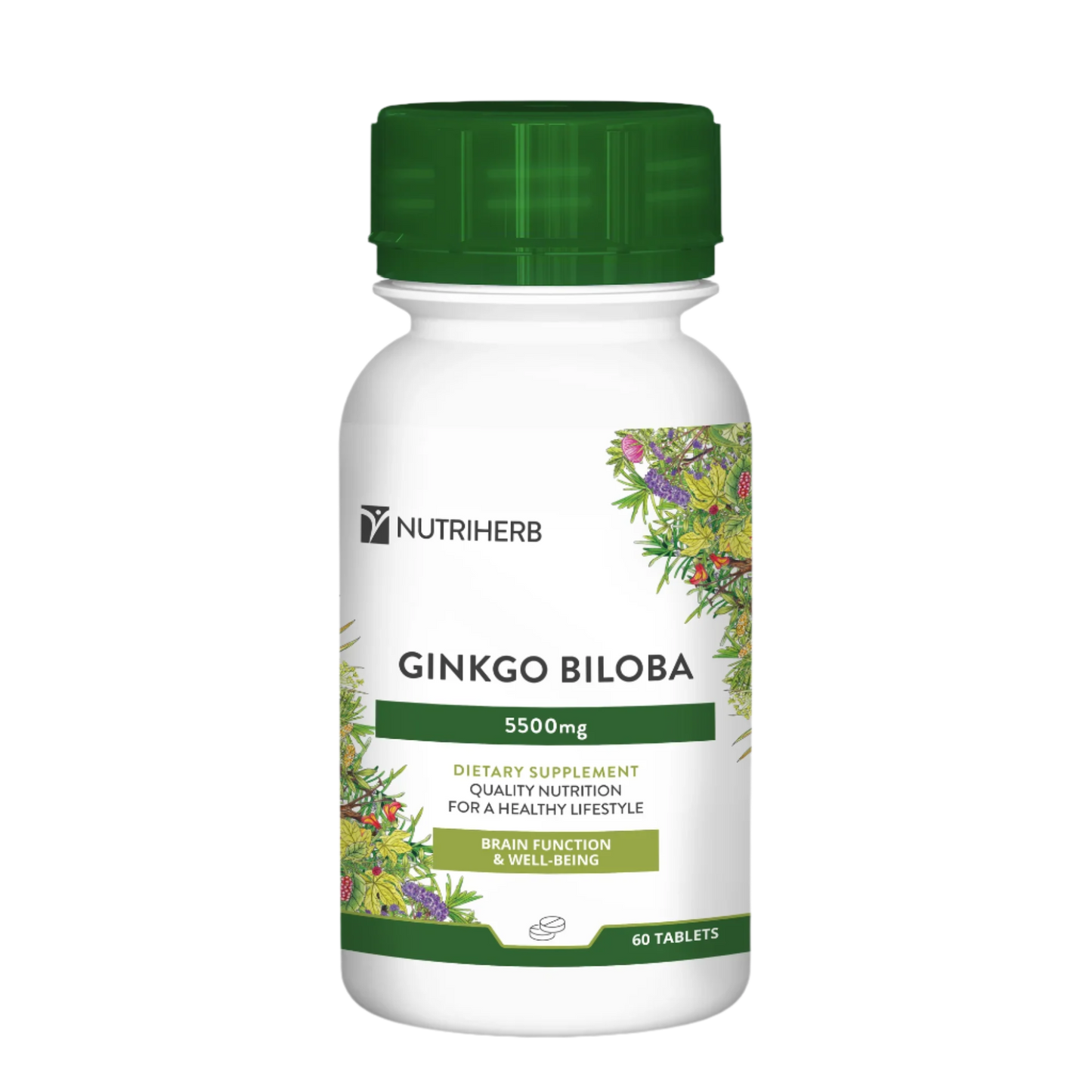 Ginkgo Biloba