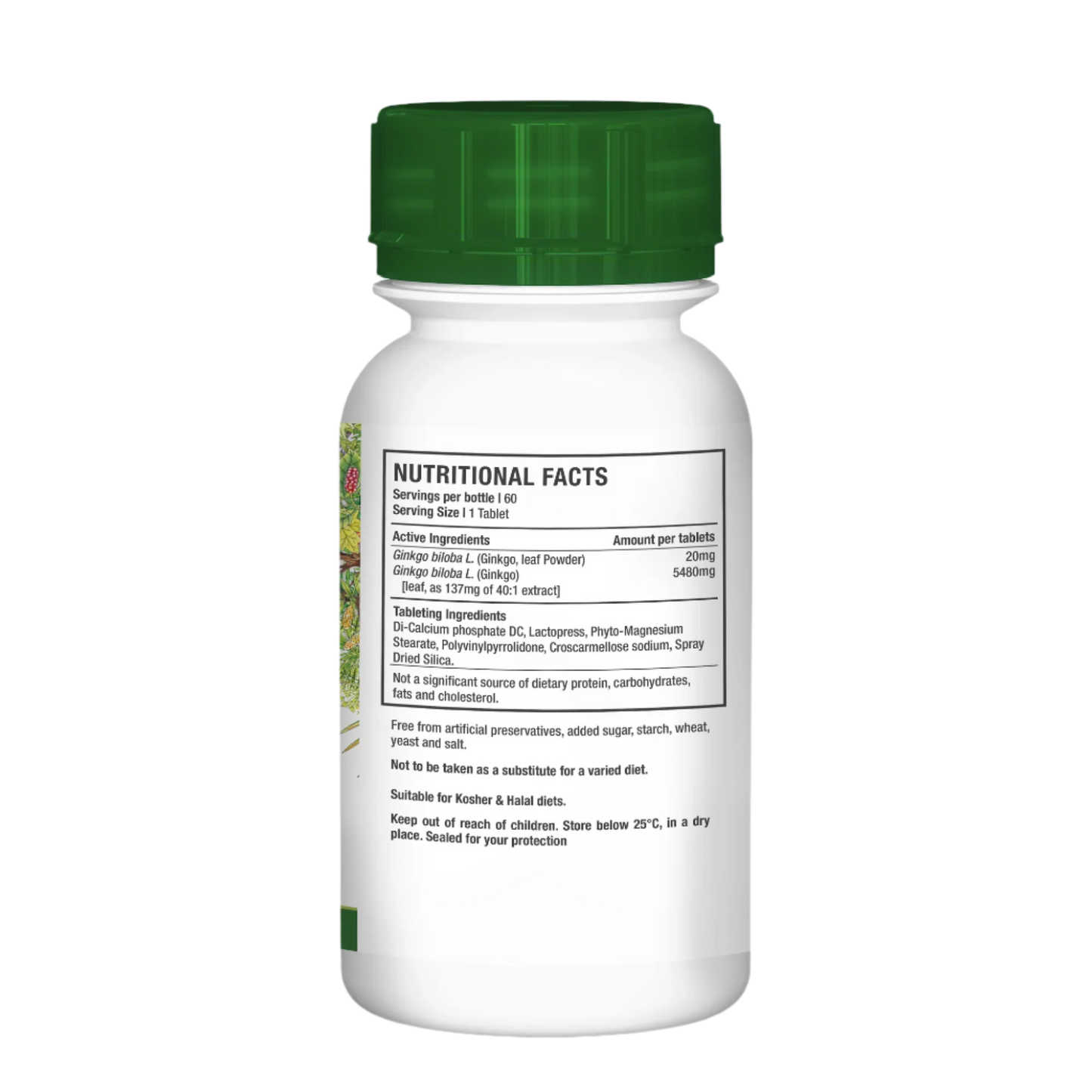 Ginkgo Biloba